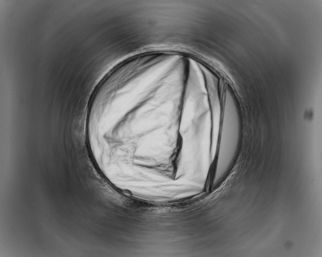 X0000099511228200806121431