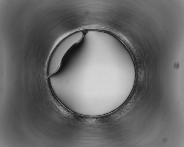 X0000099511230200806121431