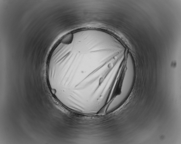 X0000099511232200806121431
