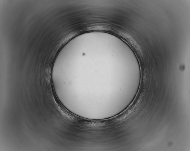 X0000099511233200806121431