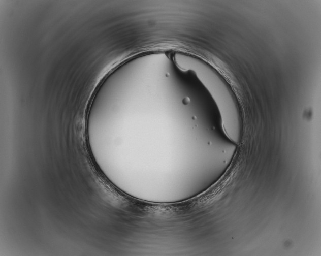 X0000099511234200806121431