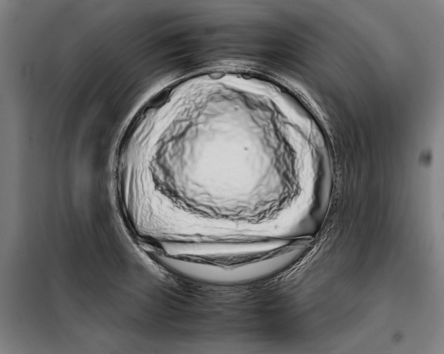 X0000099511235200806121431