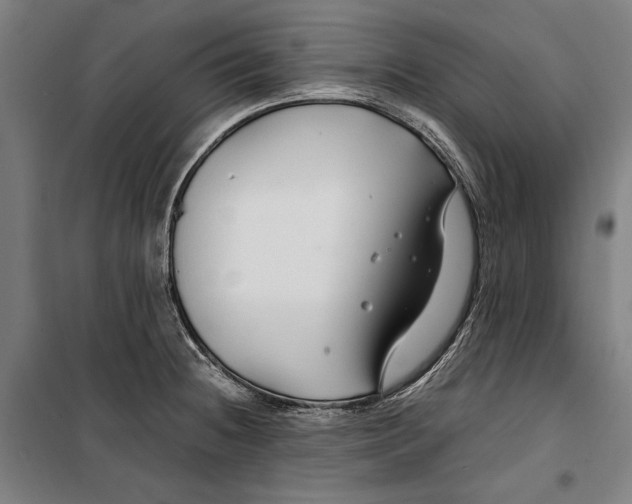 X0000099511236200806121431