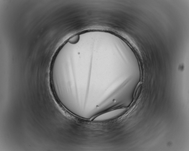 X0000099511237200806121431