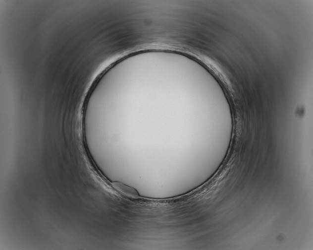 X0000099511238200806121431