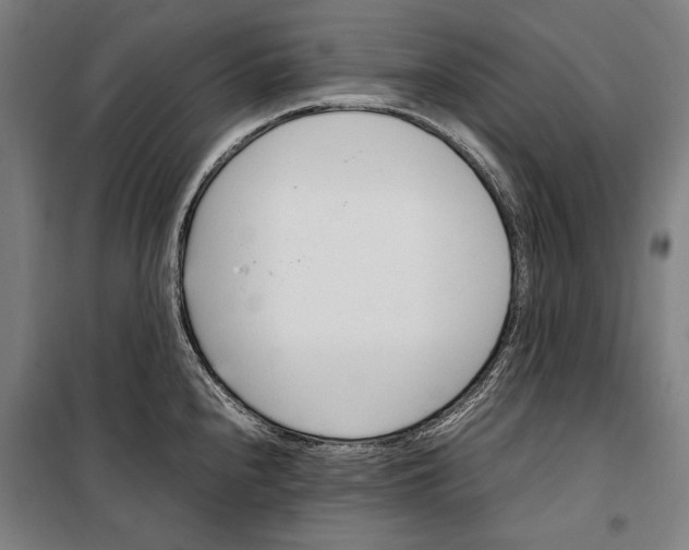 X0000099511240200806121431
