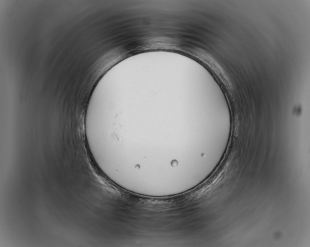 X0000099511241200806121431