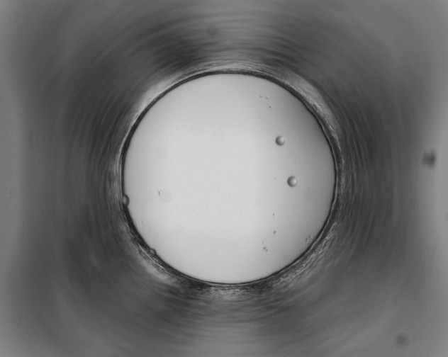 X0000099511242200806121431