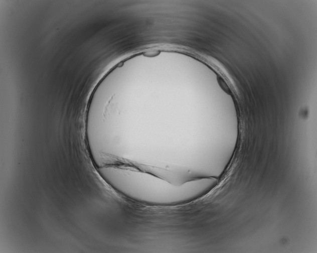 X0000099511244200806121431