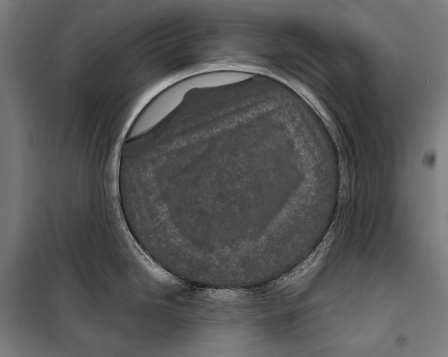 X0000099511246200806121431