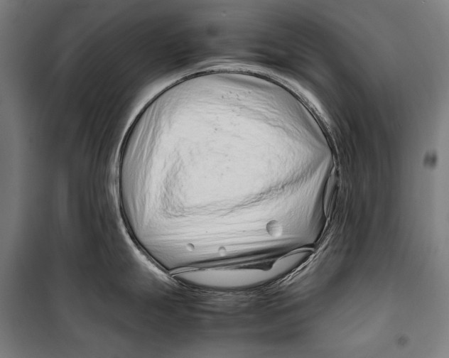 X0000099511247200806121431