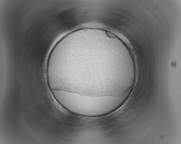 X0000099511248200806121431
