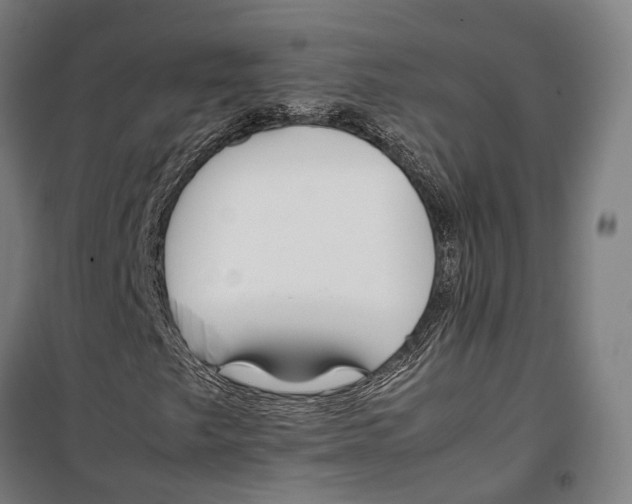 X0000099511249200806121431