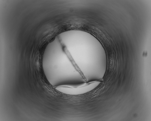 X0000099511250200806121431