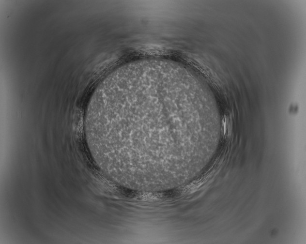 X0000099511251200806121431