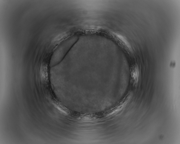 X0000099511252200806121431