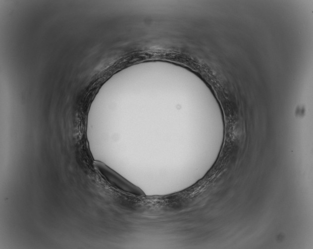 X0000099511253200806121431