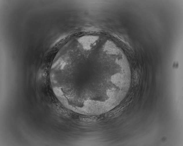 X0000099511254200806121431