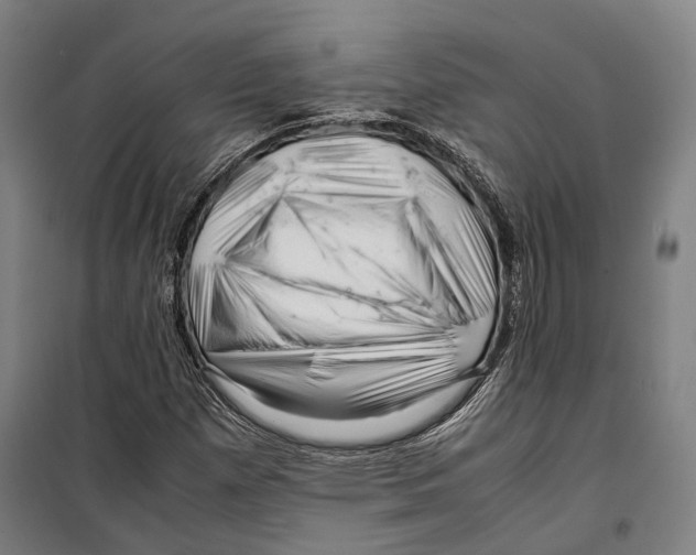 X0000099511257200806121431