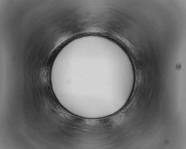 X0000099511258200806121431
