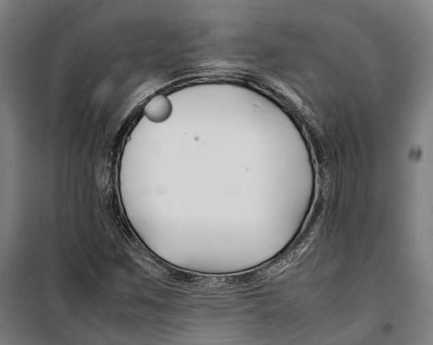X0000099511259200806121430
