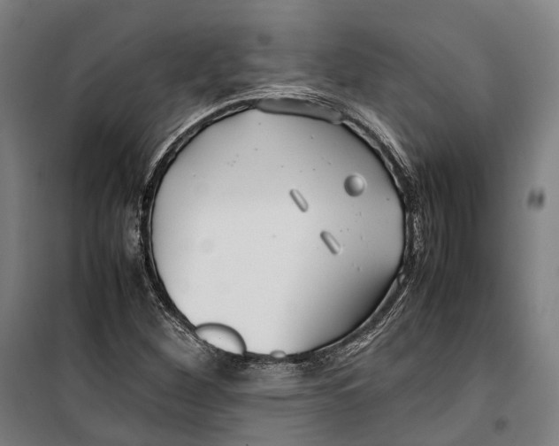 X0000099511260200806121430