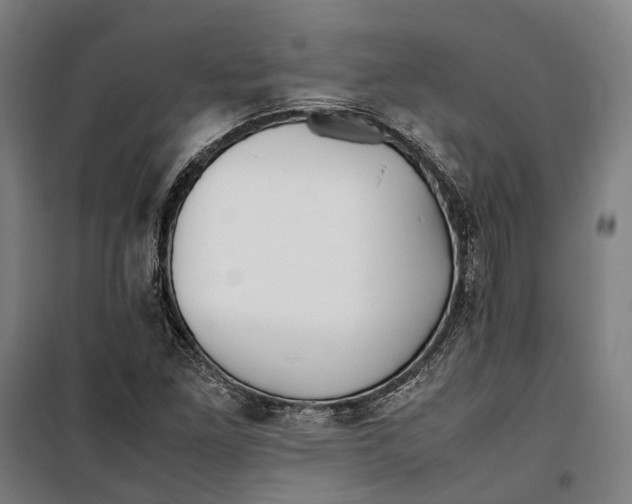 X0000099511261200806121430