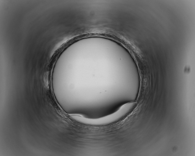 X0000099511262200806121430