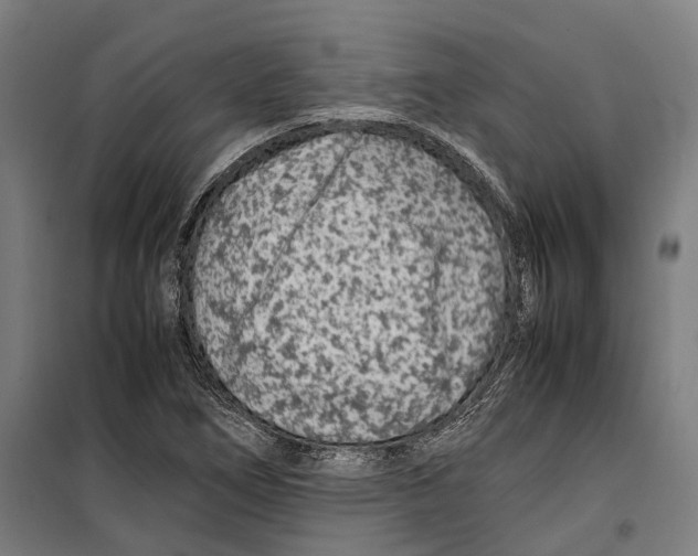X0000099511266200806121430