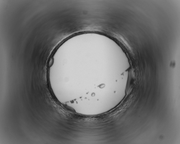 X0000099511268200806121430