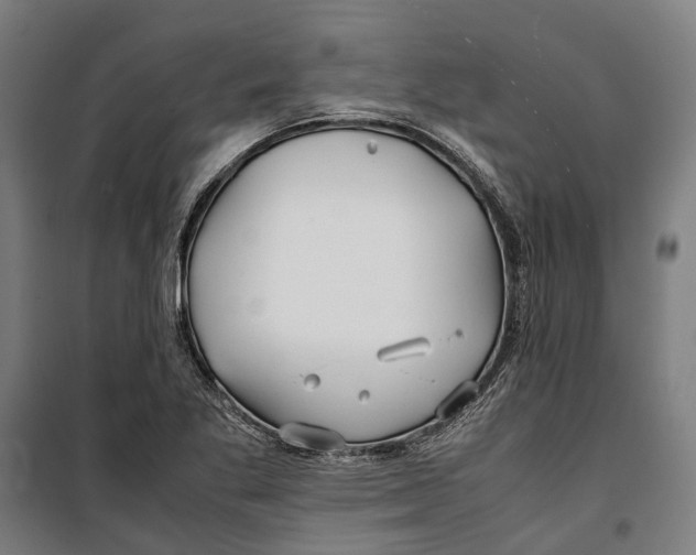 X0000099511269200806121430