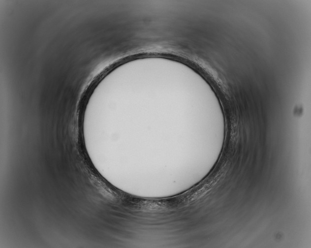X0000099511270200806121430