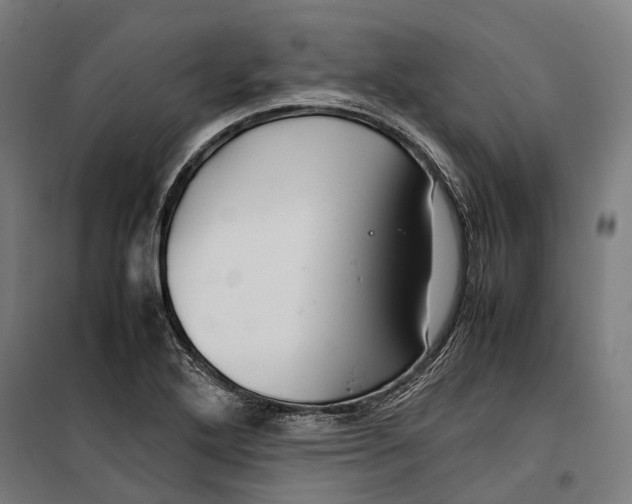 X0000099511272200806121430