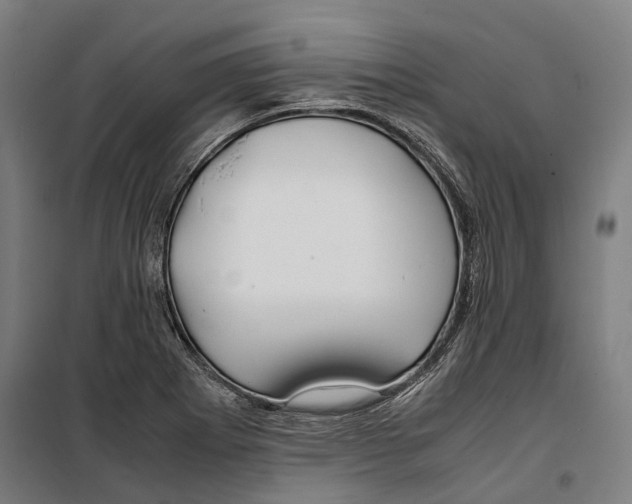 X0000099511273200806121430