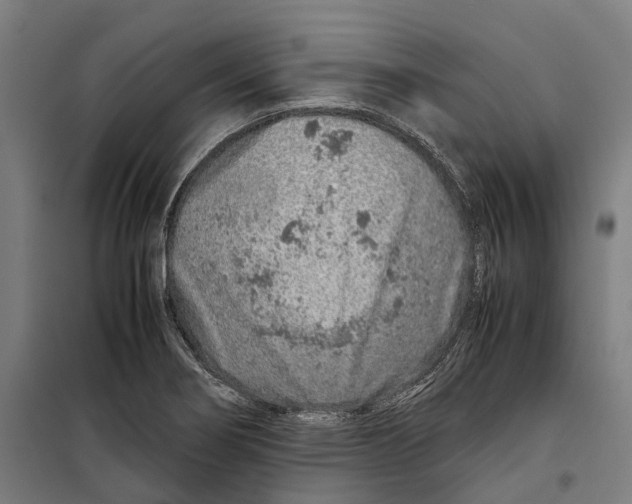 X0000099511274200806121430