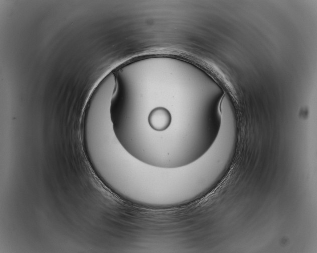 X0000099511276200806121430