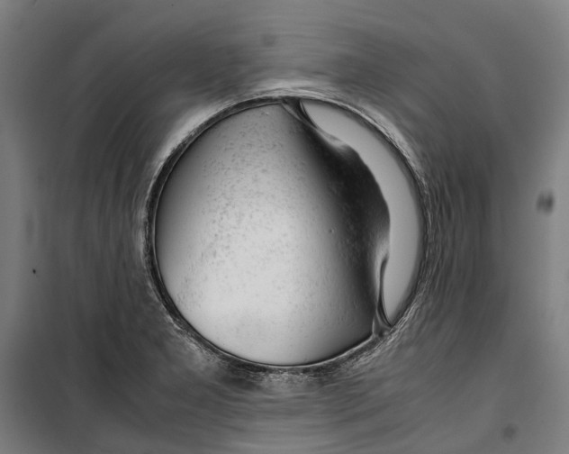 X0000099511277200806121430