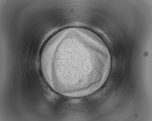 X0000099511278200806121430