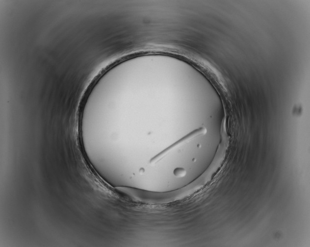 X0000099511280200806121430