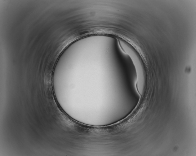 X0000099511281200806121430