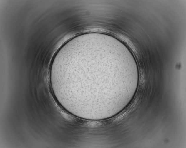 X0000099511282200806121430