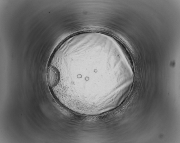 X0000099511283200806121430