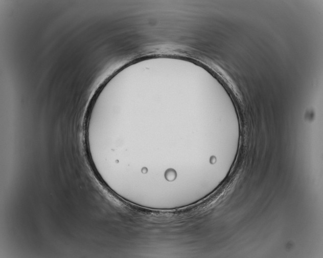 X0000099511285200806121430