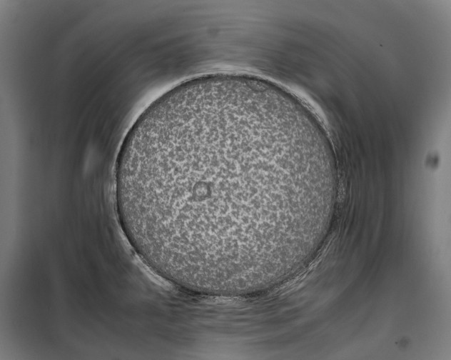 X0000099511287200806121430
