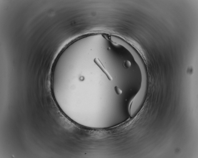 X0000099511288200806121430