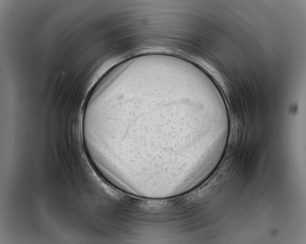 X0000099511290200806121430