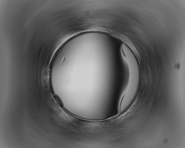 X0000099511292200806121430