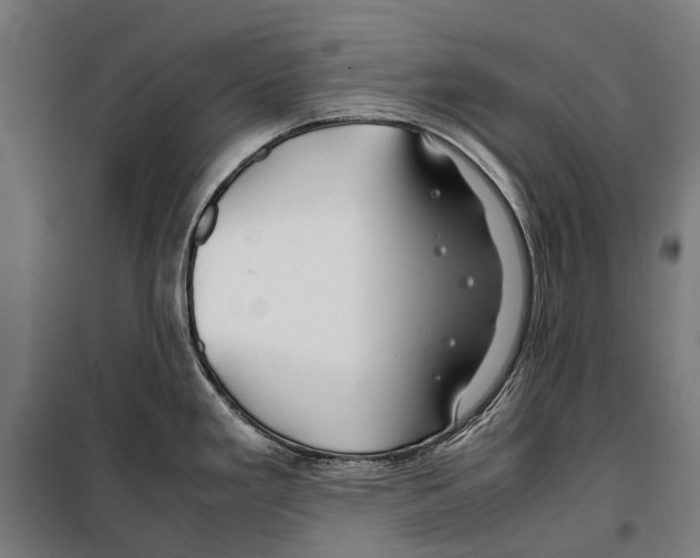 X0000099511293200806121430