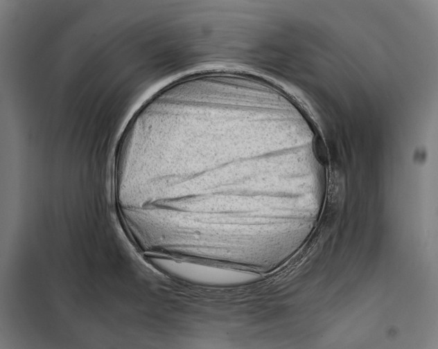 X0000099511295200806121430
