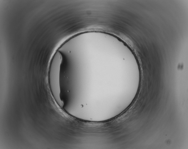 X0000099511296200806121430